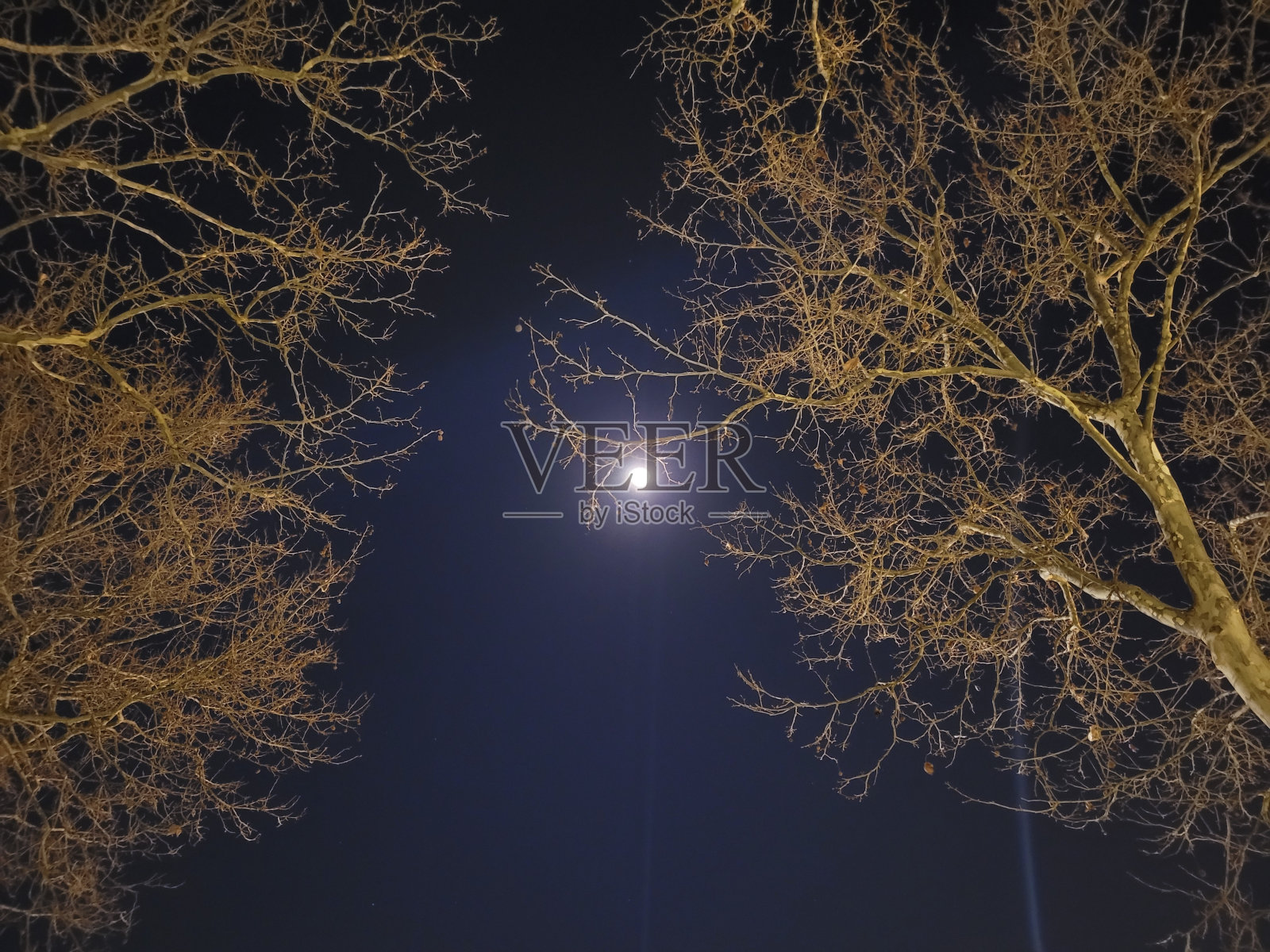 月光照片摄影图片