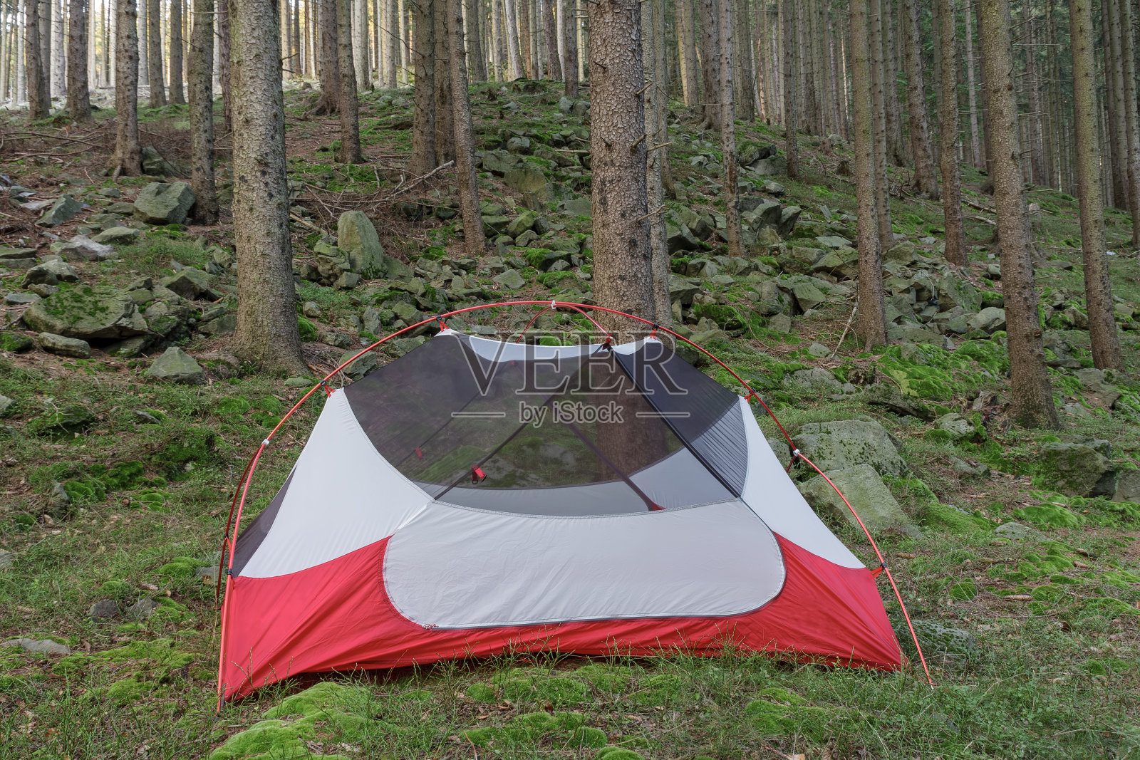 轻便独立式三季双人帐篷，内帐篷体无雨蝇，晚上在贝斯基德山云杉林林中照片摄影图片