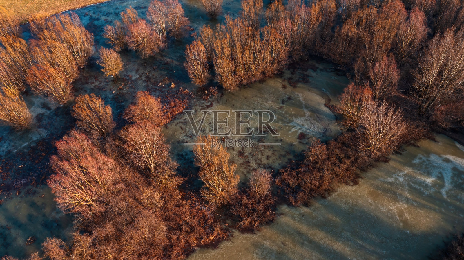 冬季被水淹没的林地与冰冻水面的鸟瞰图照片摄影图片