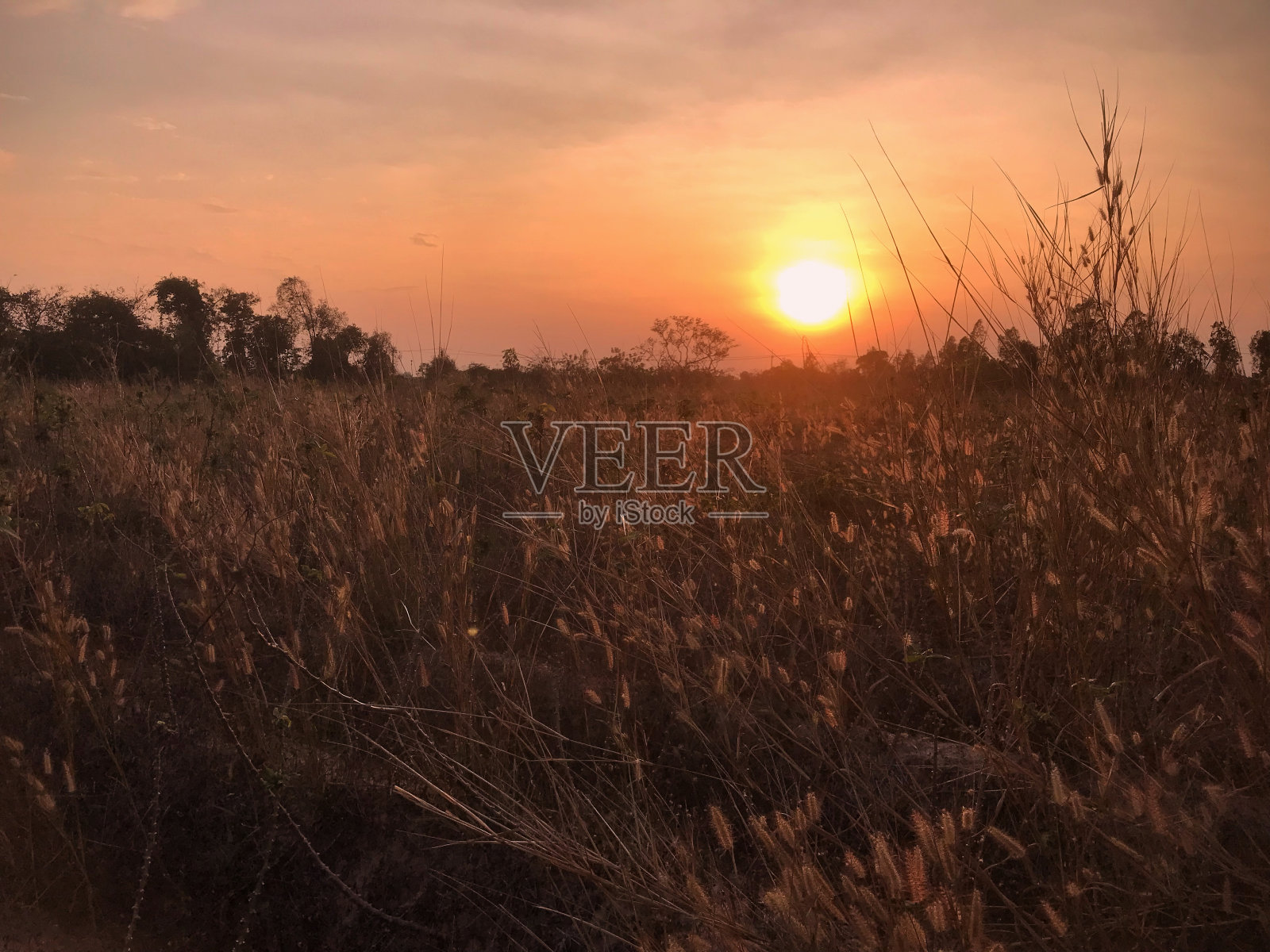 日落照片摄影图片