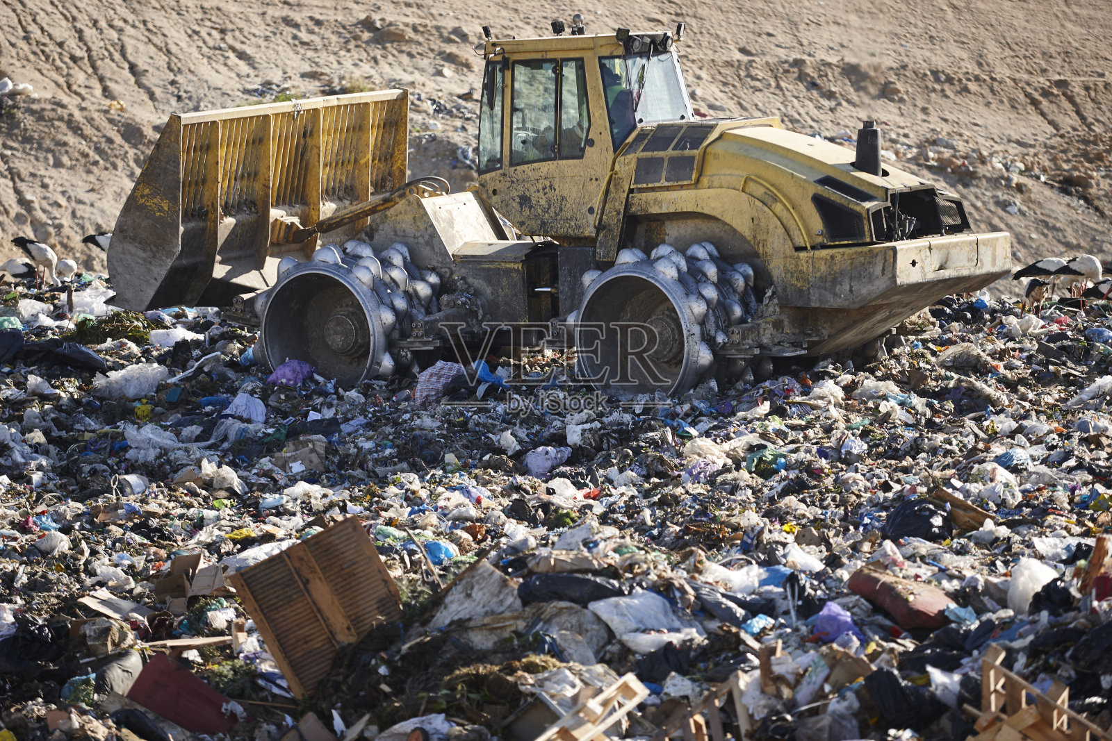 在露天垃圾填埋场撕碎垃圾的重型机械。污染照片摄影图片