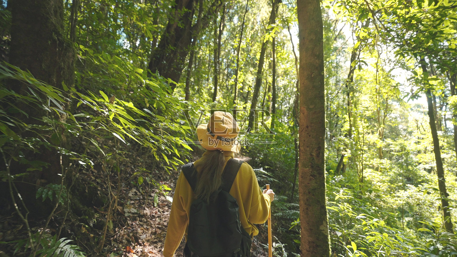 亚洲年轻女子徒步旅行和背包穿着黄色毛衣独自在森林旅行照片摄影图片