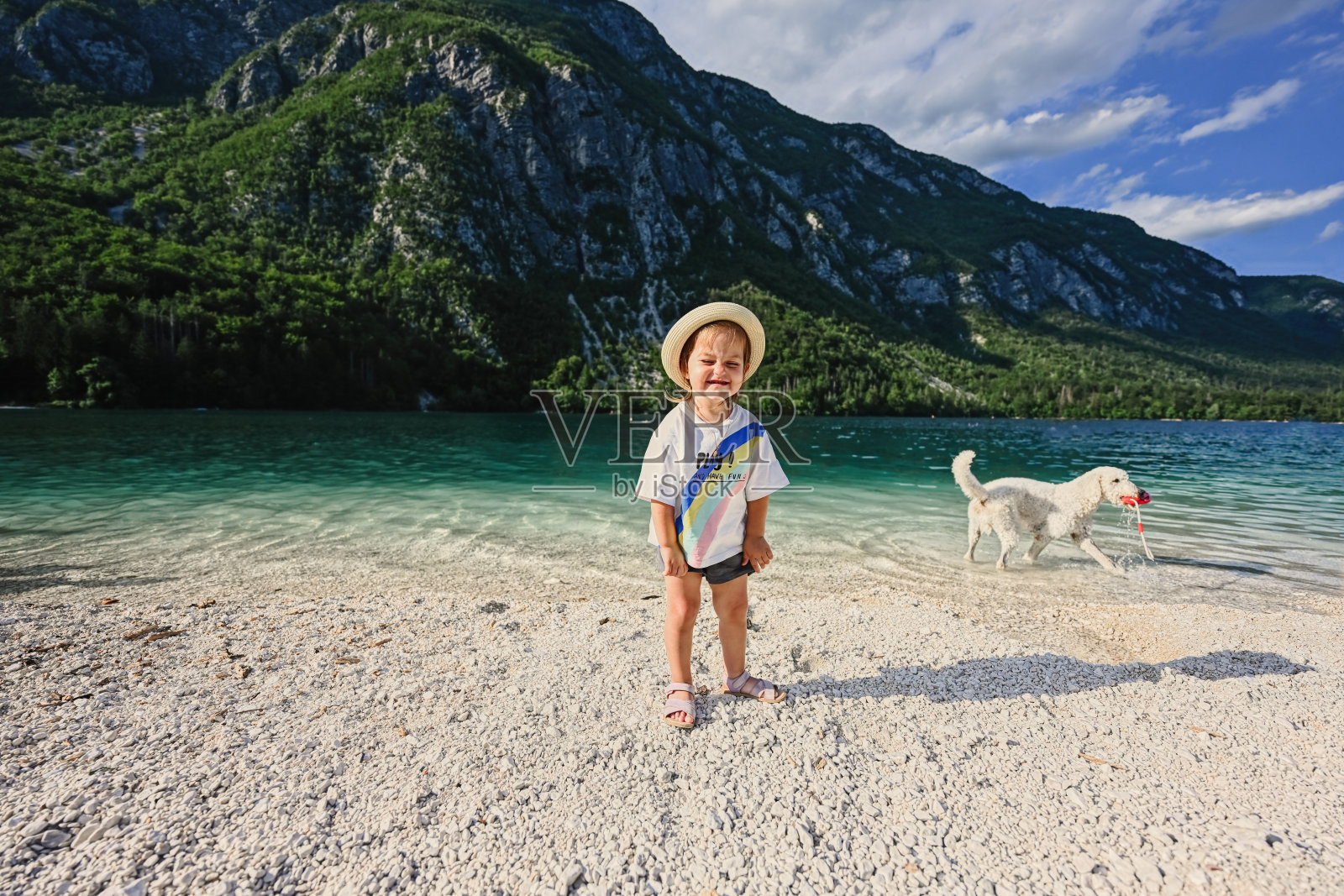 小女孩带着狗站在博欣尼湖旁，博欣尼湖是斯洛文尼亚最大的湖，是特里格拉夫国家公园的一部分。照片摄影图片