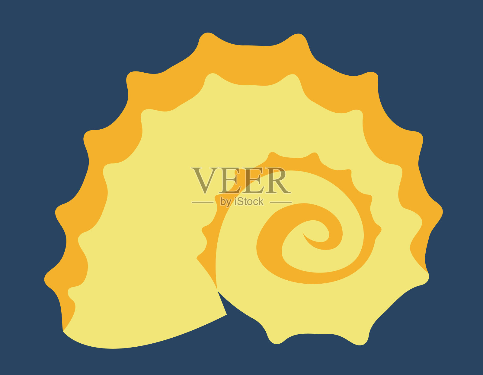 贝壳在平面风格。插画图片素材