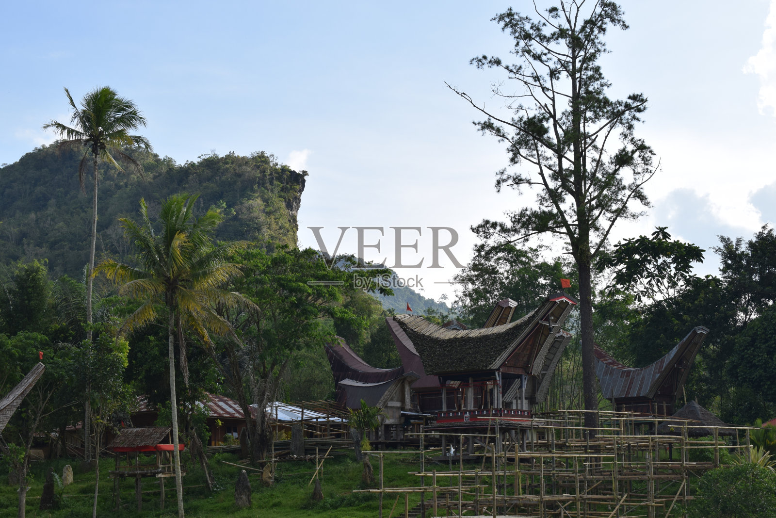 塔纳托拉雅的自然景观照片摄影图片