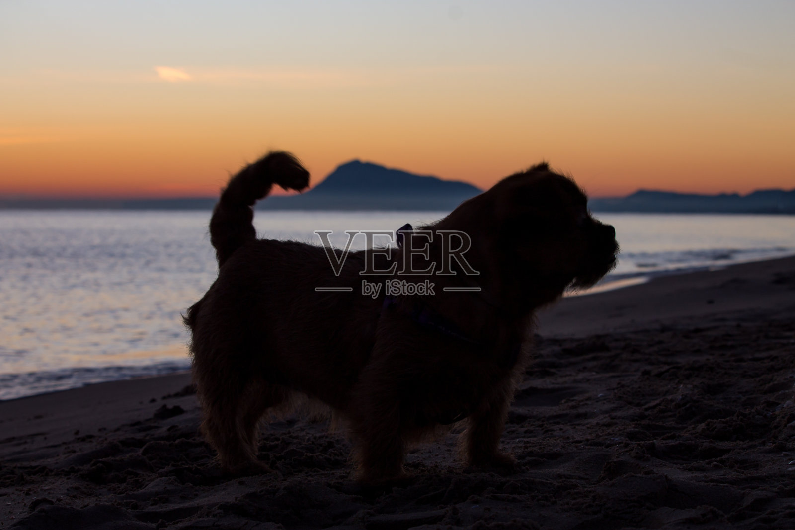 娜美在海滩上照片摄影图片