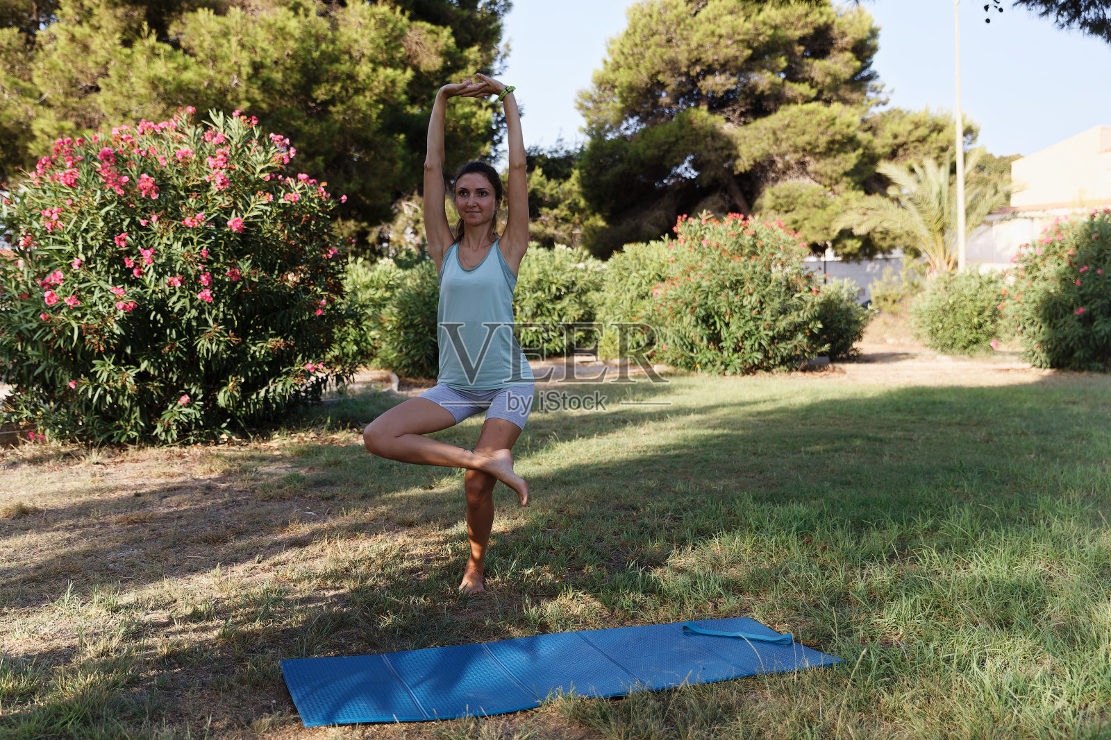 美女在清晨公园做瑜伽。健康生活方式户外构想。运动。照片摄影图片