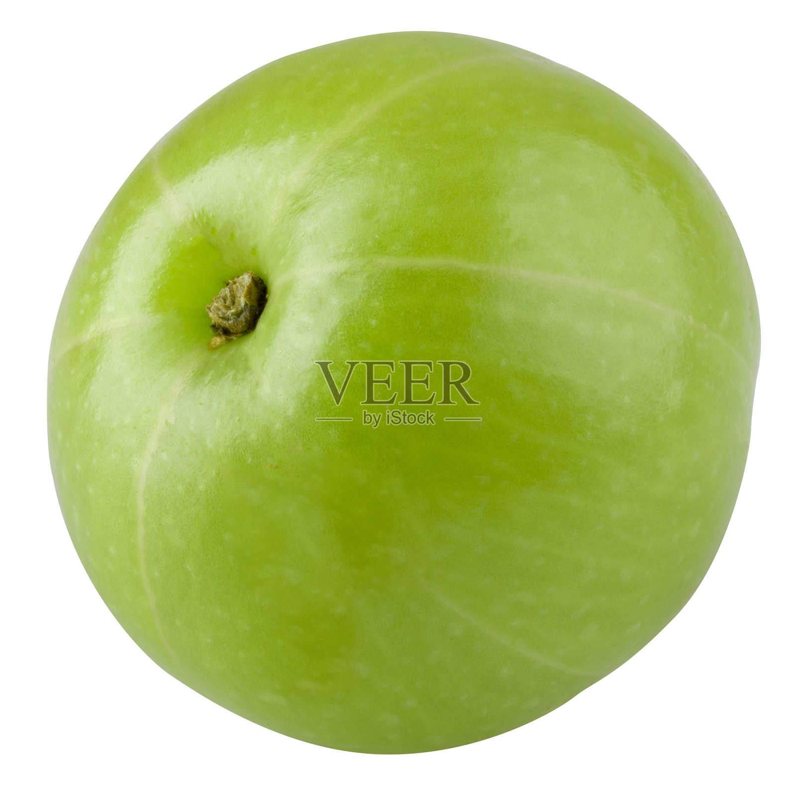 白色背景上孤立的徽章或印度醋栗照片摄影图片