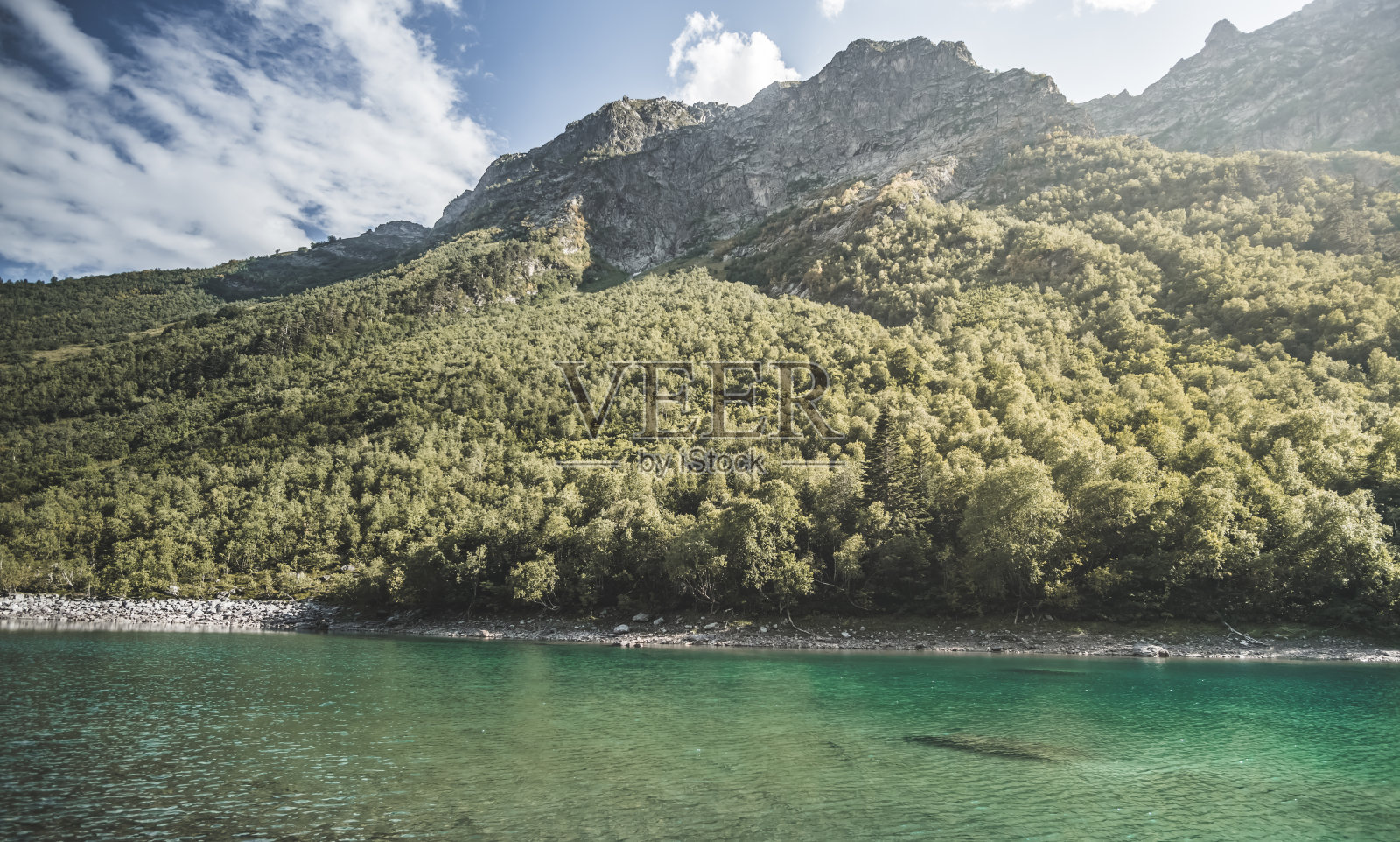 山地景观，以森林为背景的寒冷的山地湖泊和山脉中的岩石山脊，在温暖阳光明媚的夏天的山地景观照片摄影图片