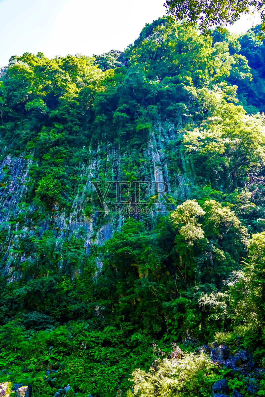 自然之美延续的高町峡谷(宫崎县高町)照片摄影图片