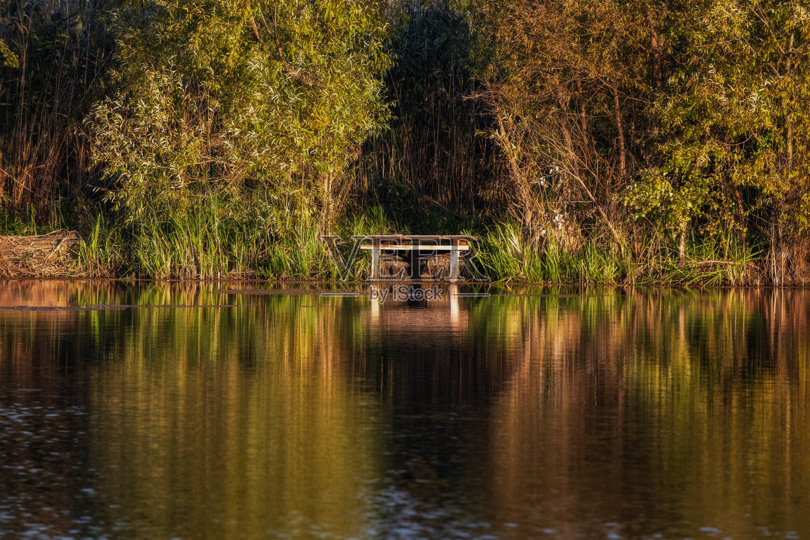 在秋天日出的Jegricka自然公园，沼泽上的木路照片摄影图片