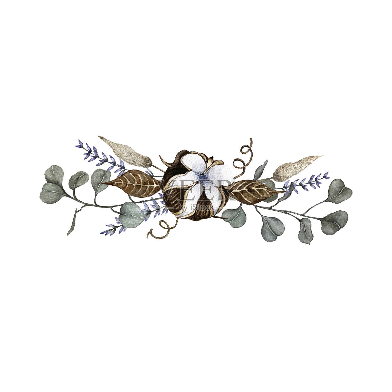 干花成分插画图片素材