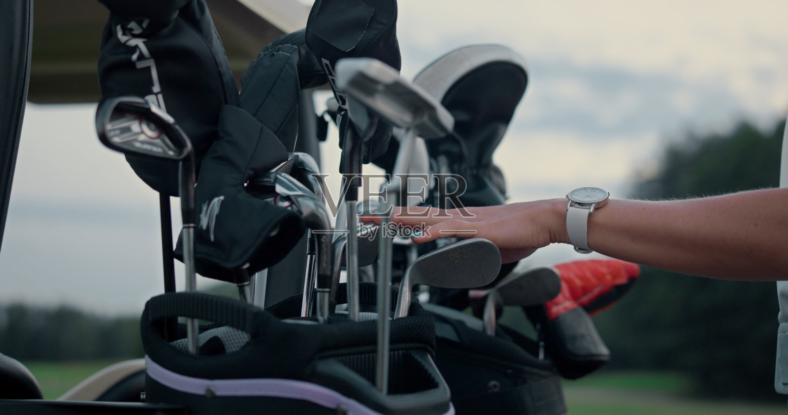 女士在装备袋里挑选高尔夫球杆。职业高尔夫球手在草地上准备比赛照片摄影图片