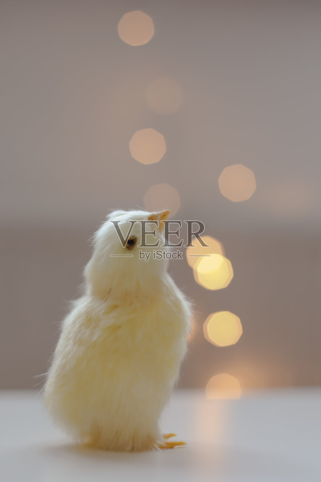 一只小黄鸡的特写。带有复制空间的复活节卡片。春季复活节装饰。设计模板。副本的空间。壁纸或横幅对模糊的节日灯照片摄影图片