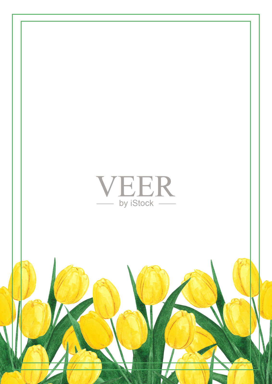 手绘水彩黄色郁金香花束。孤立在白色背景上。剪贴簿，明信片，横幅，标签，海报。插画图片素材