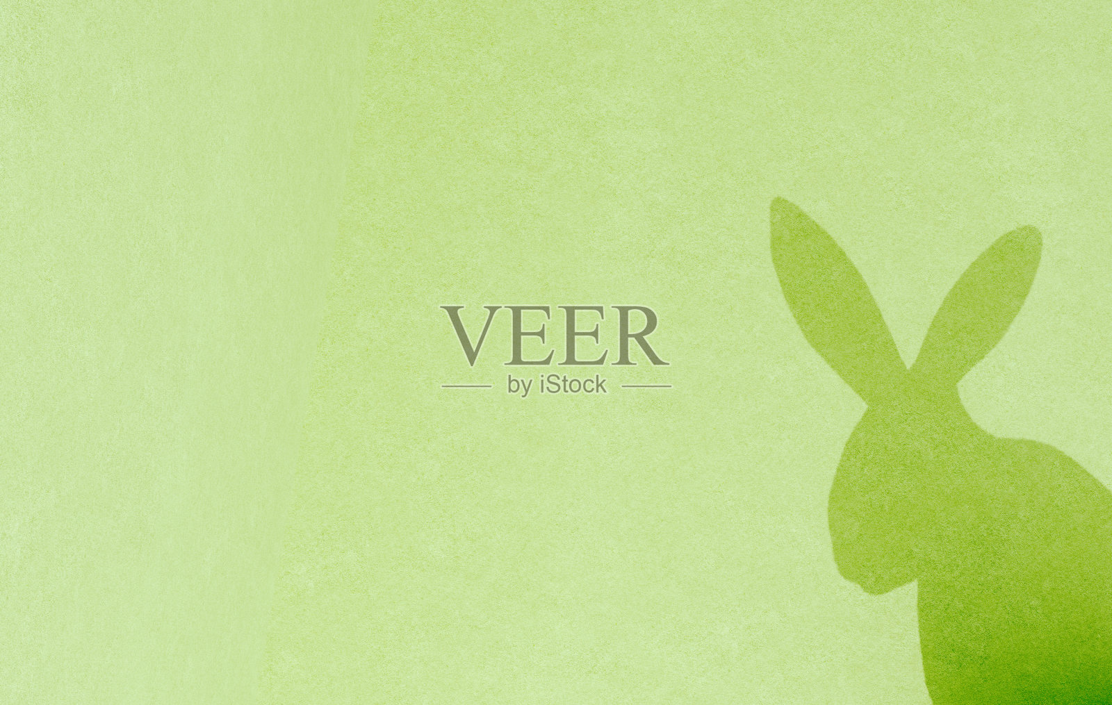 兔子阴影在绿色纹理背景。复活节贺卡的主题或概念。照片摄影图片