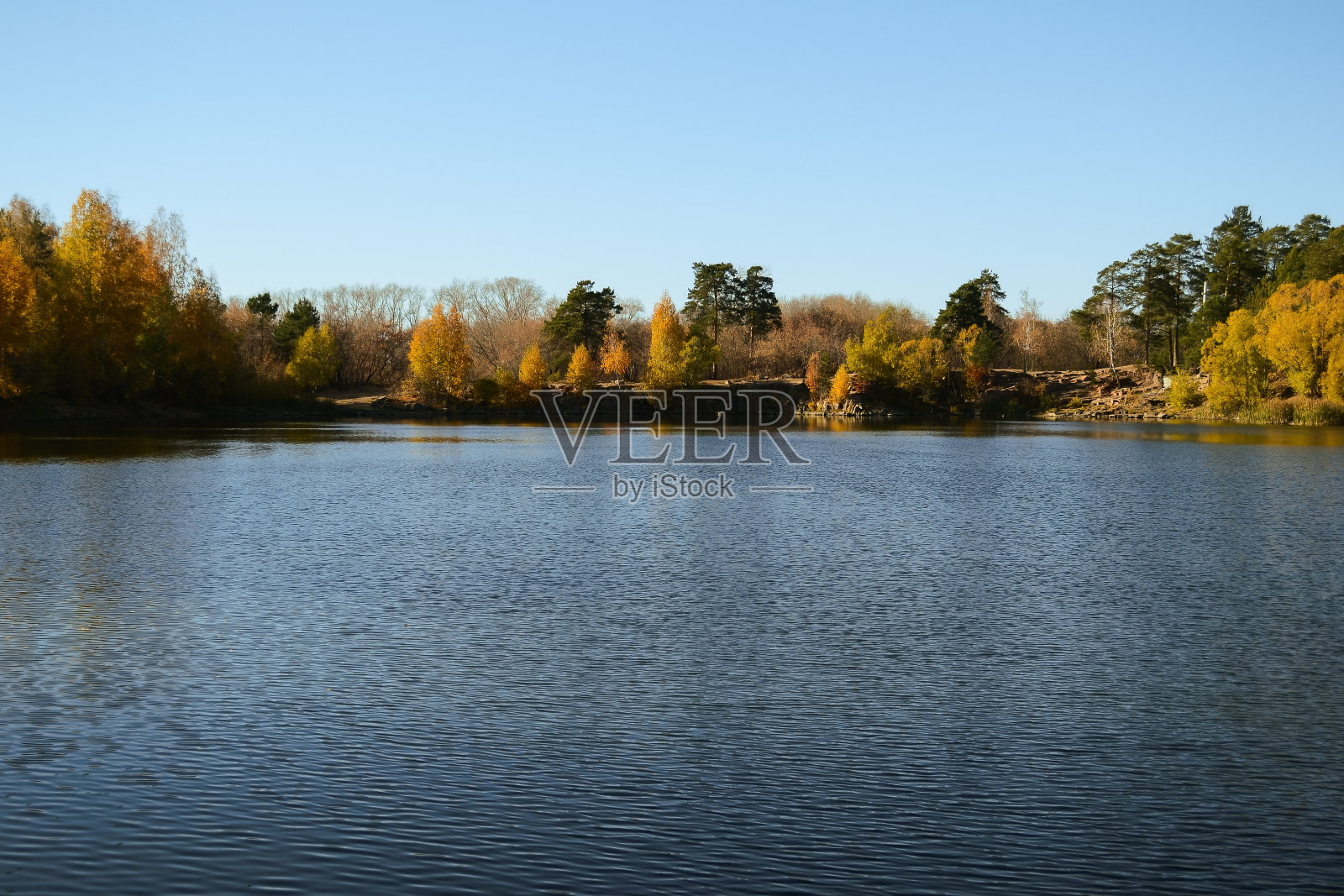 森林湖岸边秋天的树木照片摄影图片