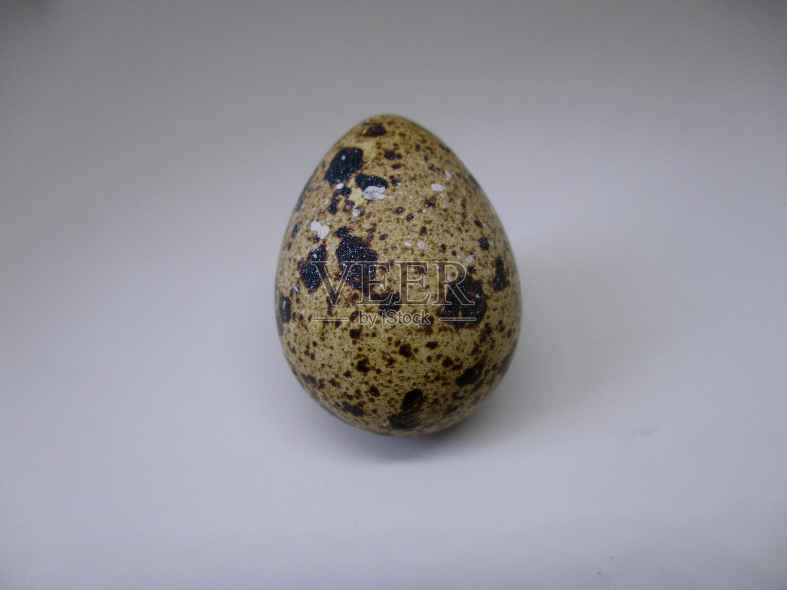 白色背景的鹌鹑蛋照片摄影图片