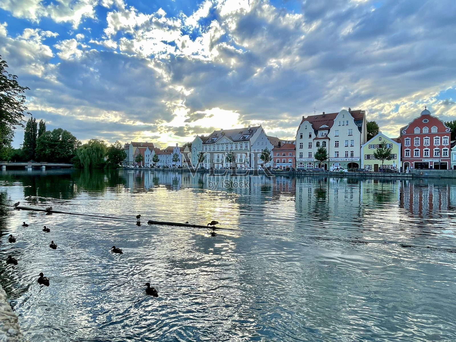 日落时分，德国的伊萨尔河上有鸭子在游泳照片摄影图片