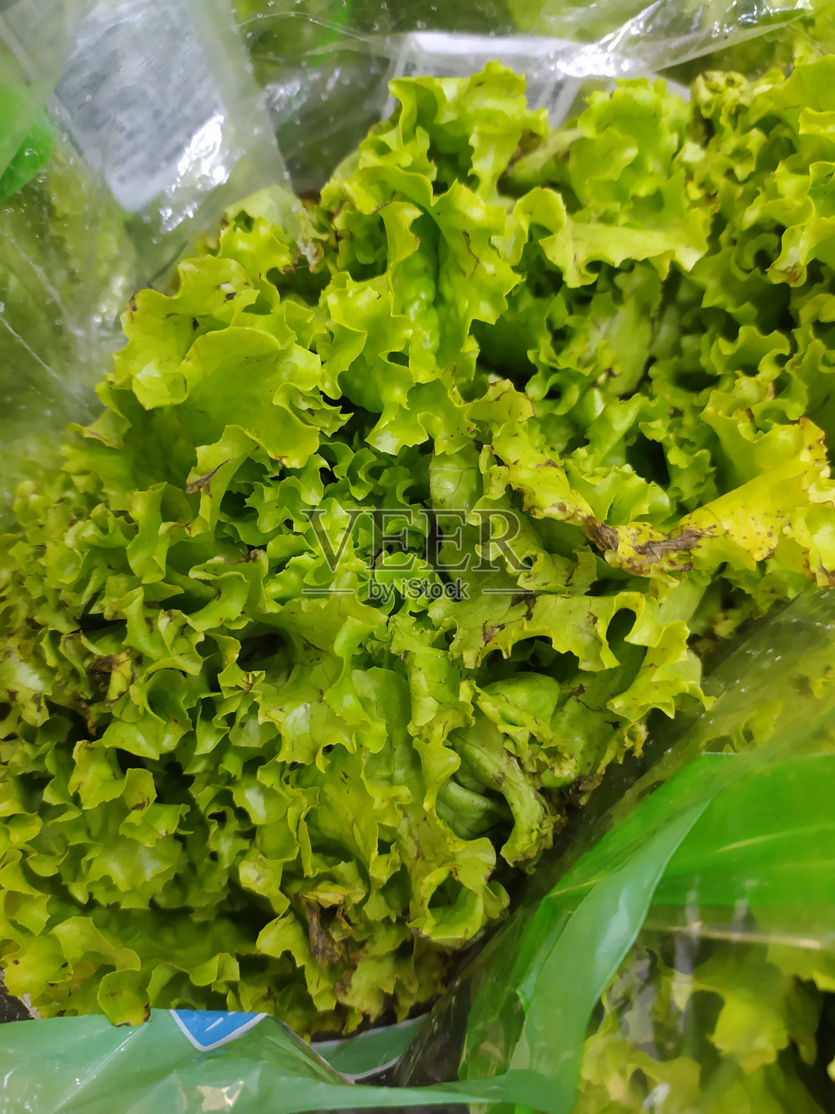 一棵生菜被塑料包装在超市的缆车上照片摄影图片