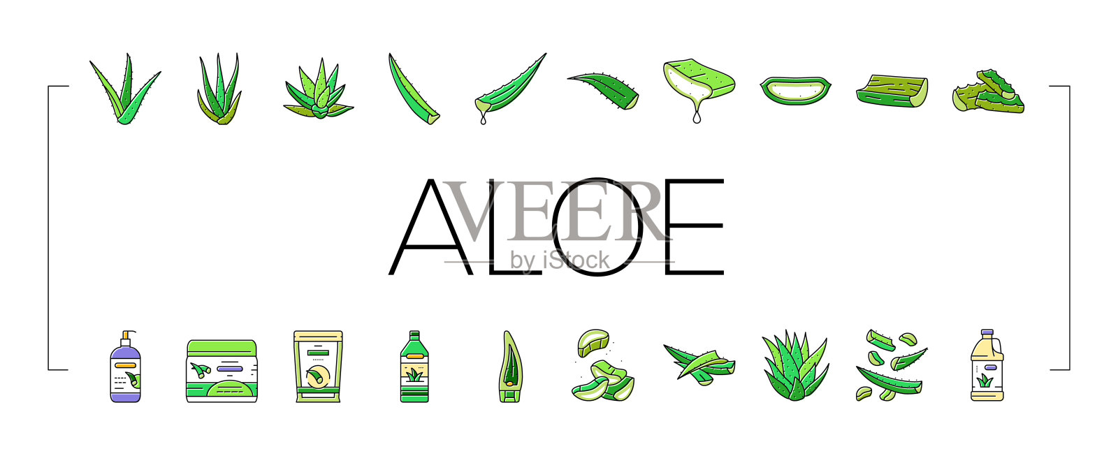 芦荟天然绿色护理图标集矢量插画图片素材