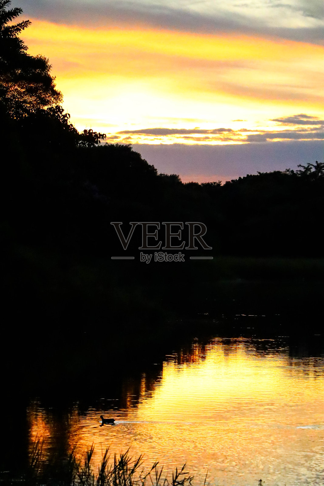 湖面上美丽的日出照片照片摄影图片
