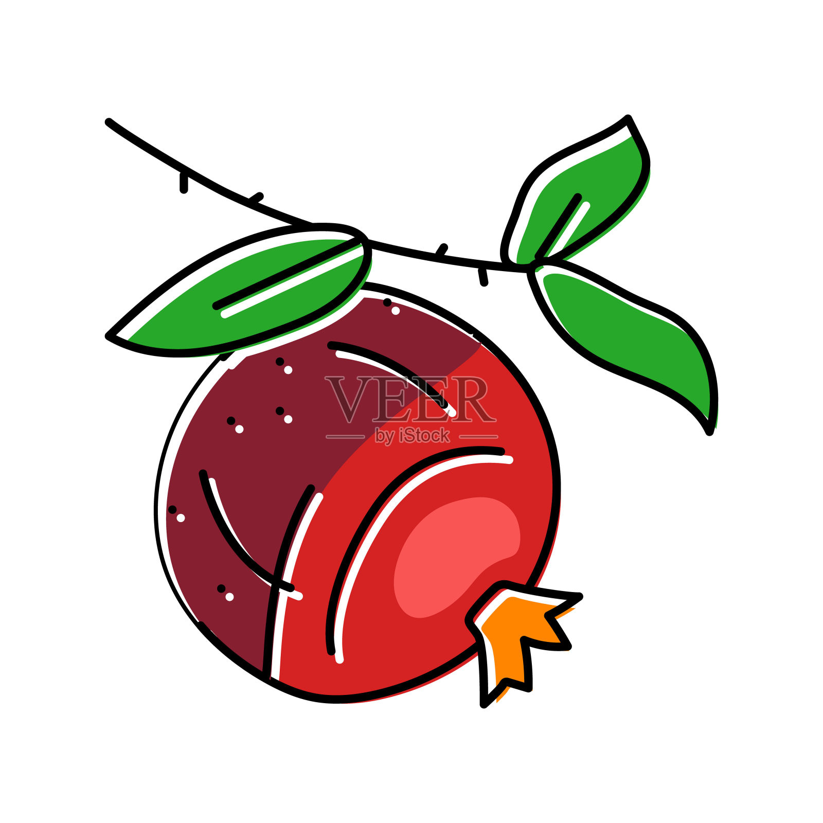 石榴枝叶颜色图标矢量说明设计元素图片