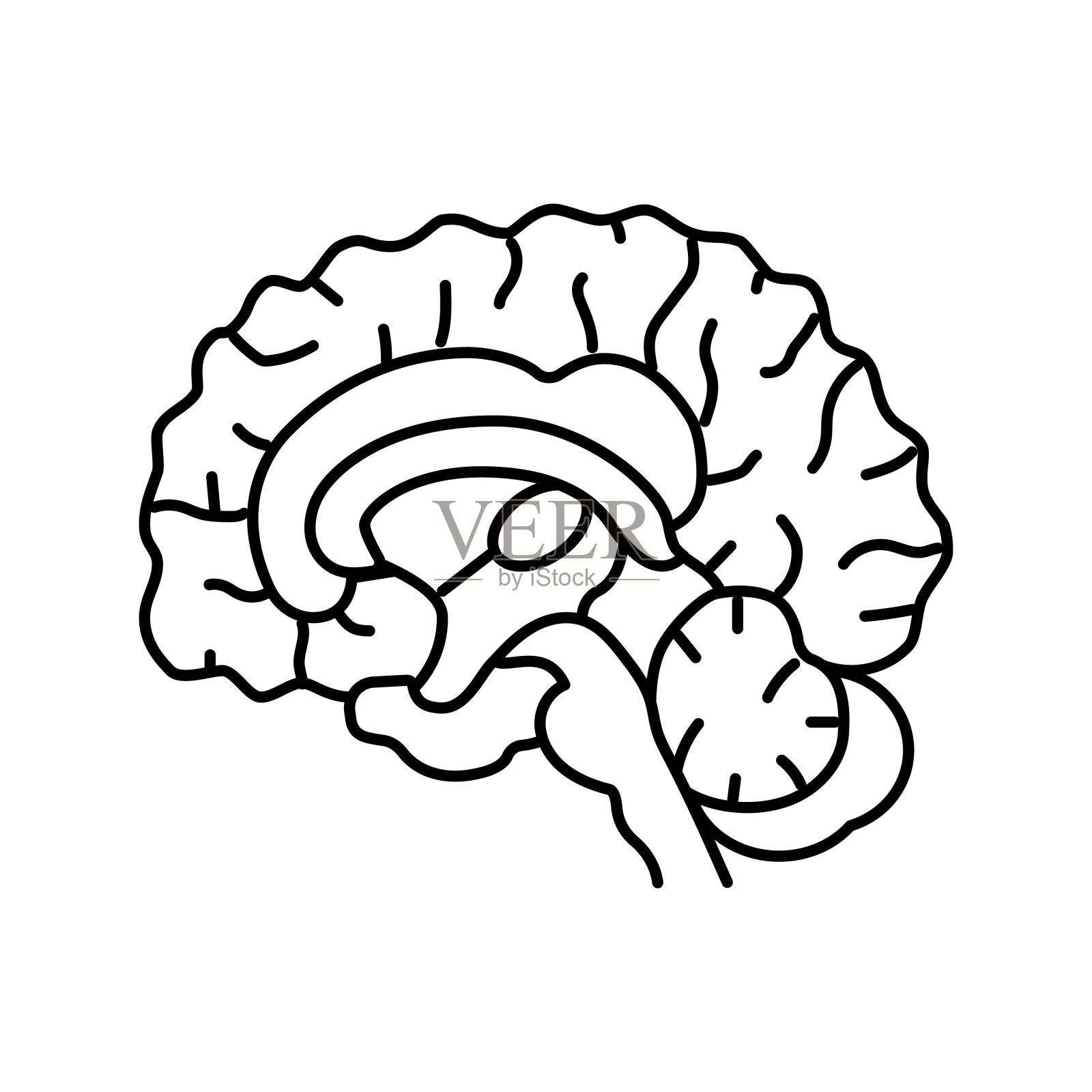 神经学脑线图标矢量插图插画图片素材