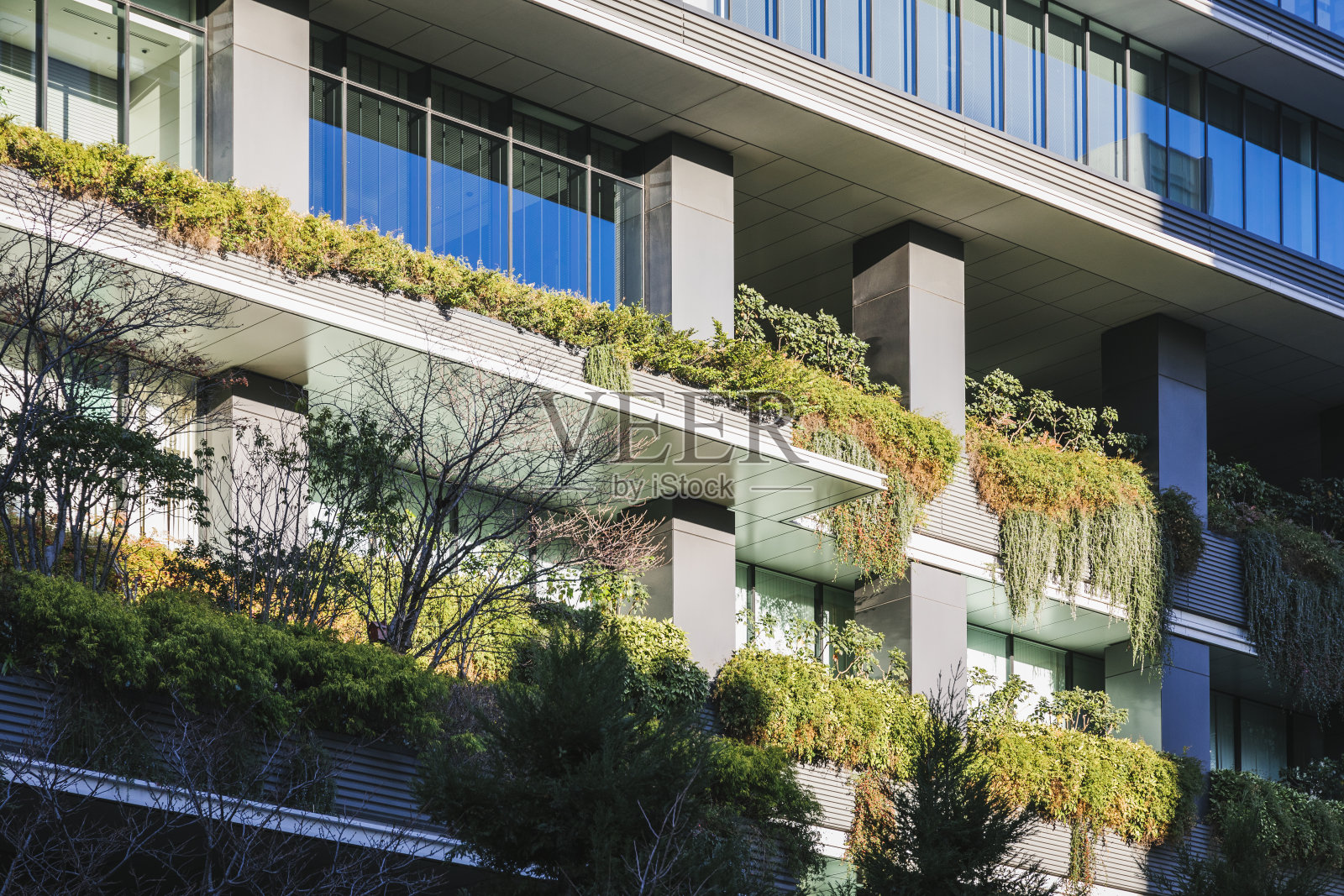 建筑与绿化照片摄影图片