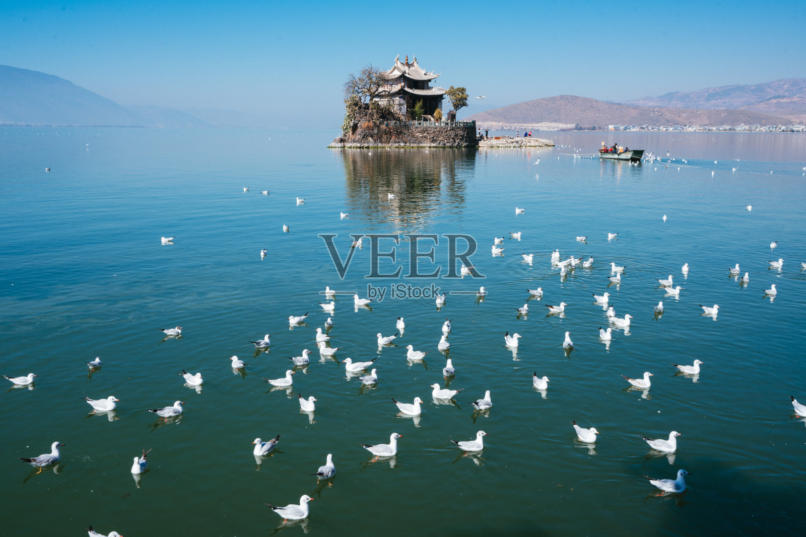 云南省大理市洱海照片摄影图片