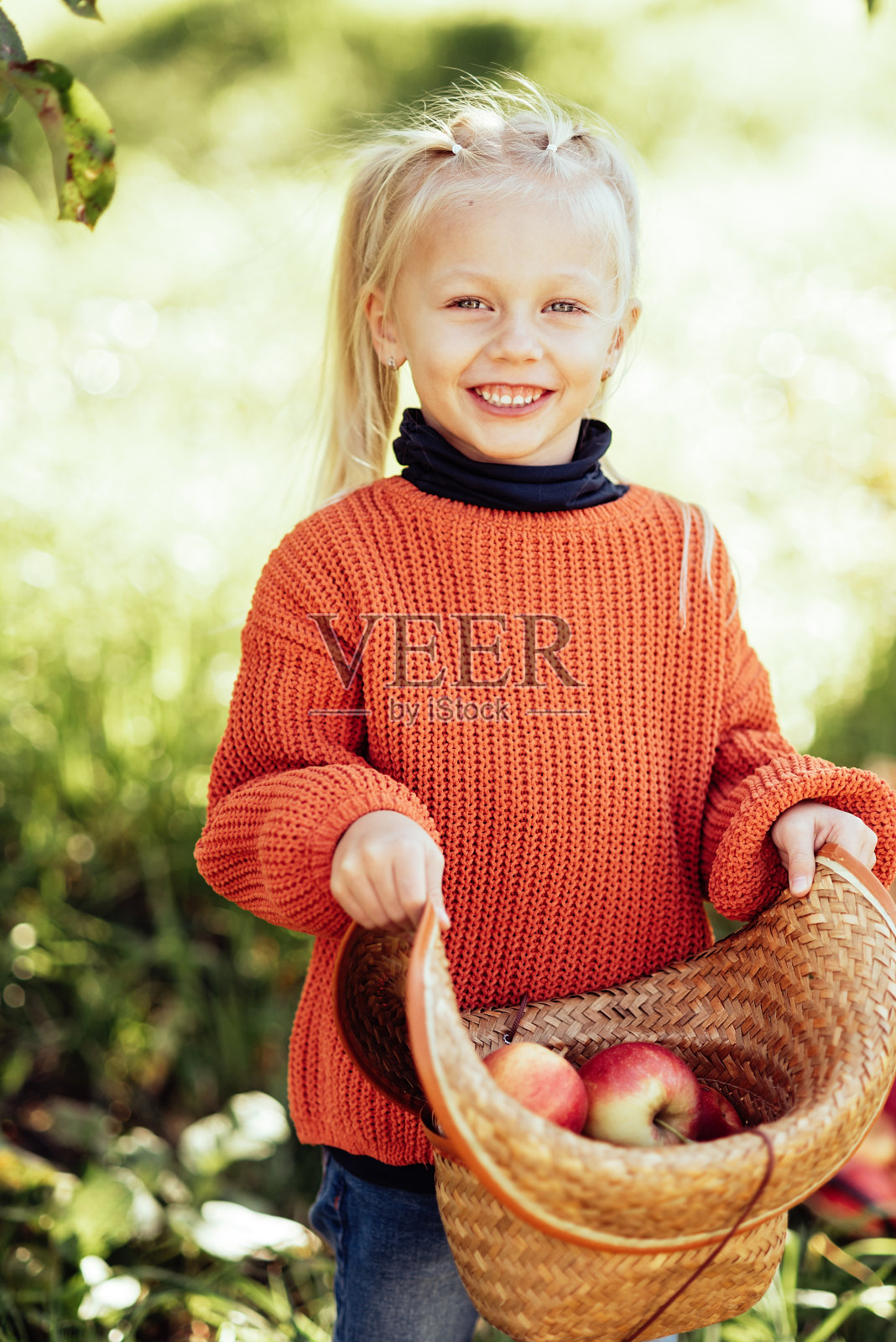 秋天，孩子们在农场摘苹果。小女孩在苹果园里玩耍。健康营养照片摄影图片