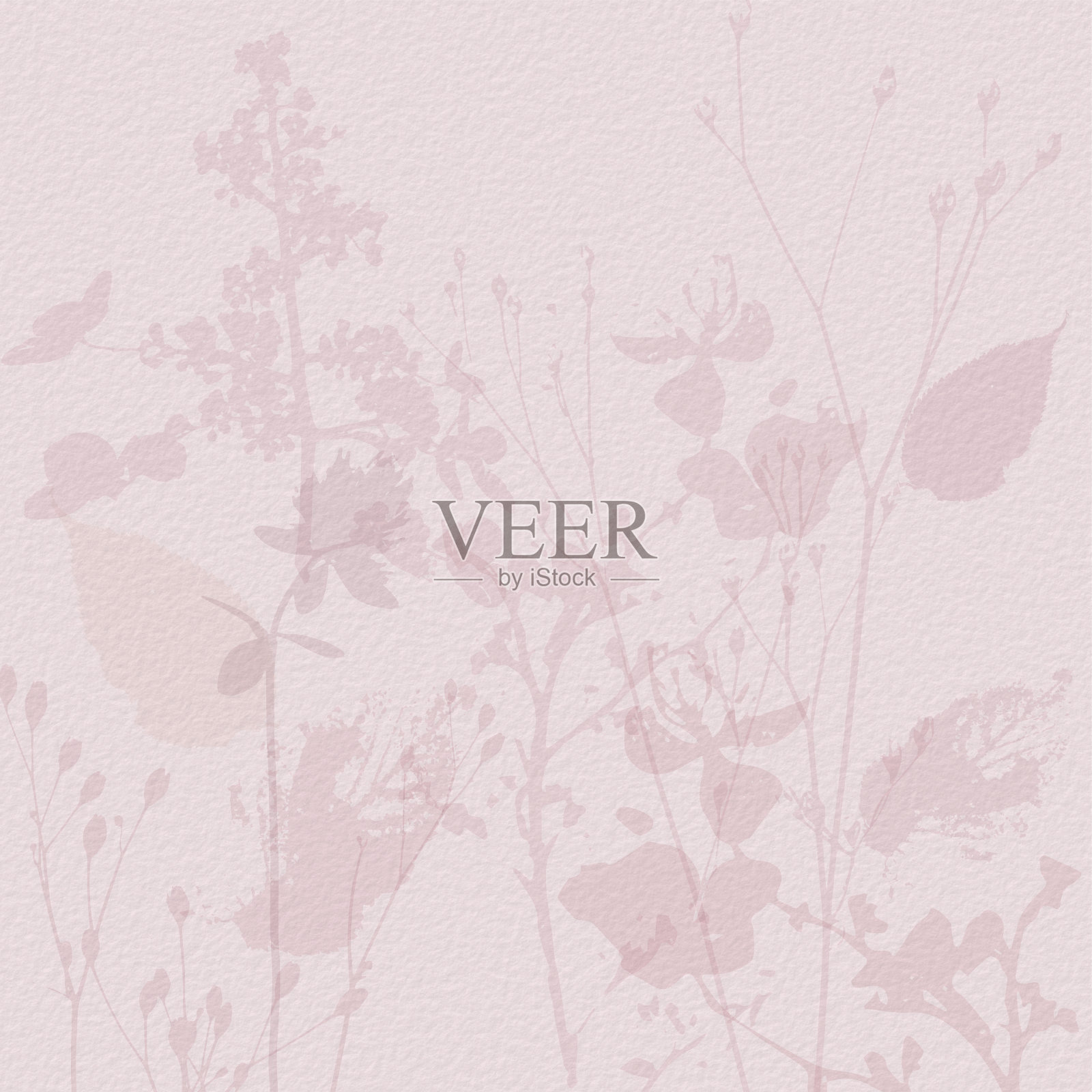 精致的矢量图案与野花，草本植物。柔和的粉彩腮红米色粉色背景插画图片素材