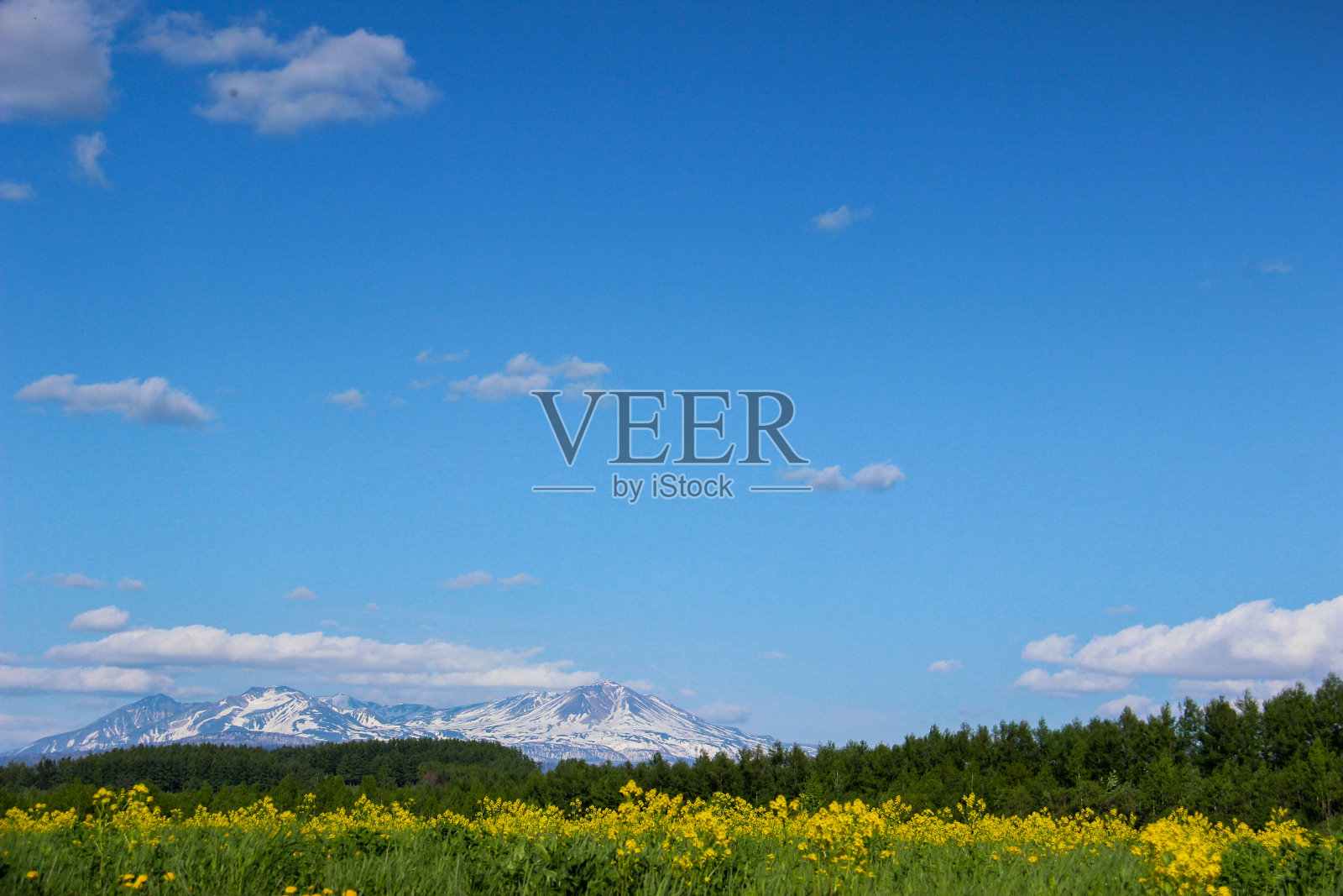 春天，雪山蓝天照片摄影图片