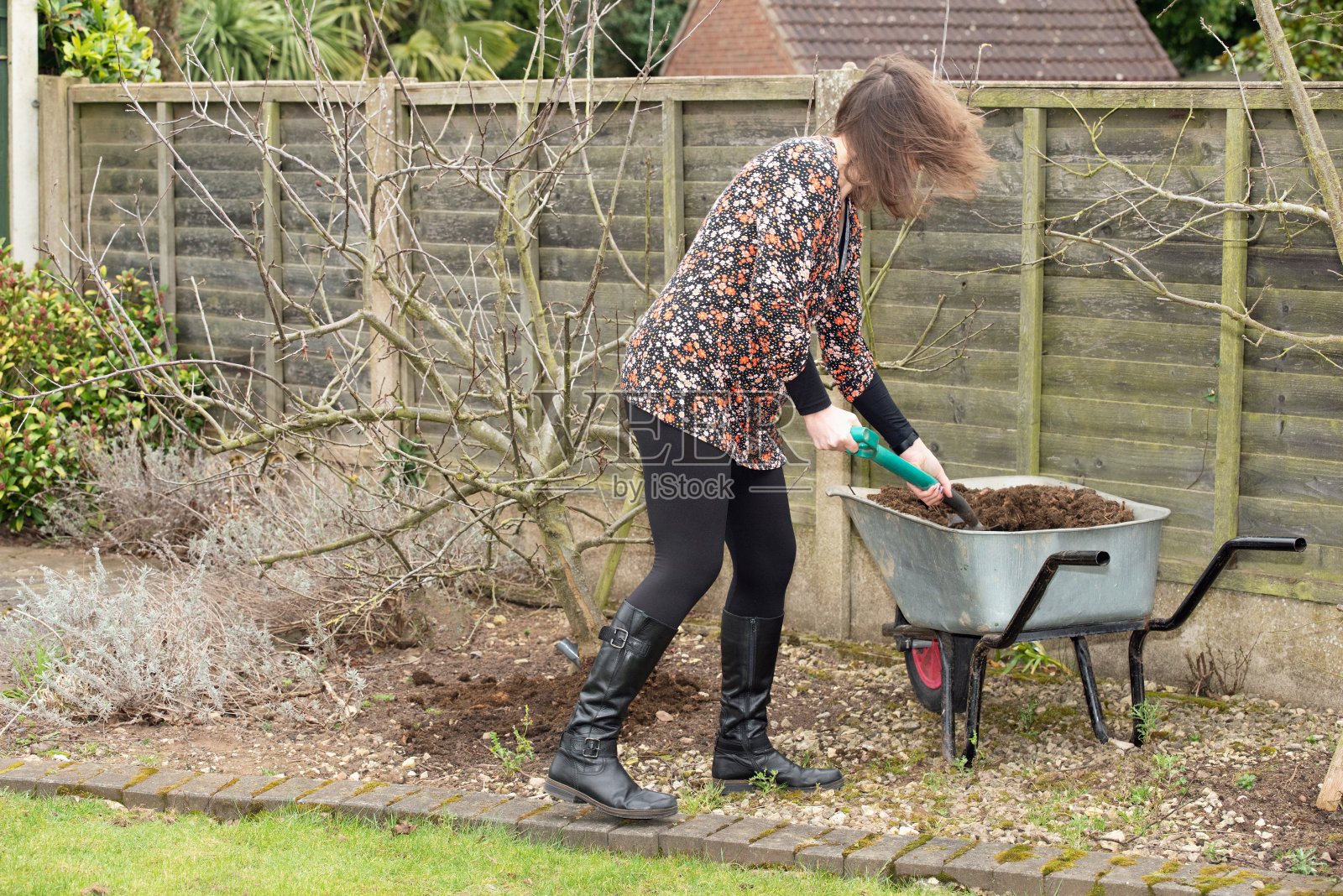 2月喷洒自制堆肥。照片摄影图片
