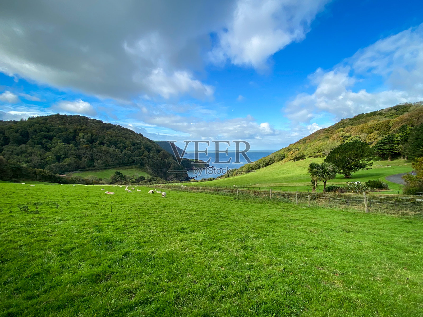 德文郡沿海乡村照片摄影图片