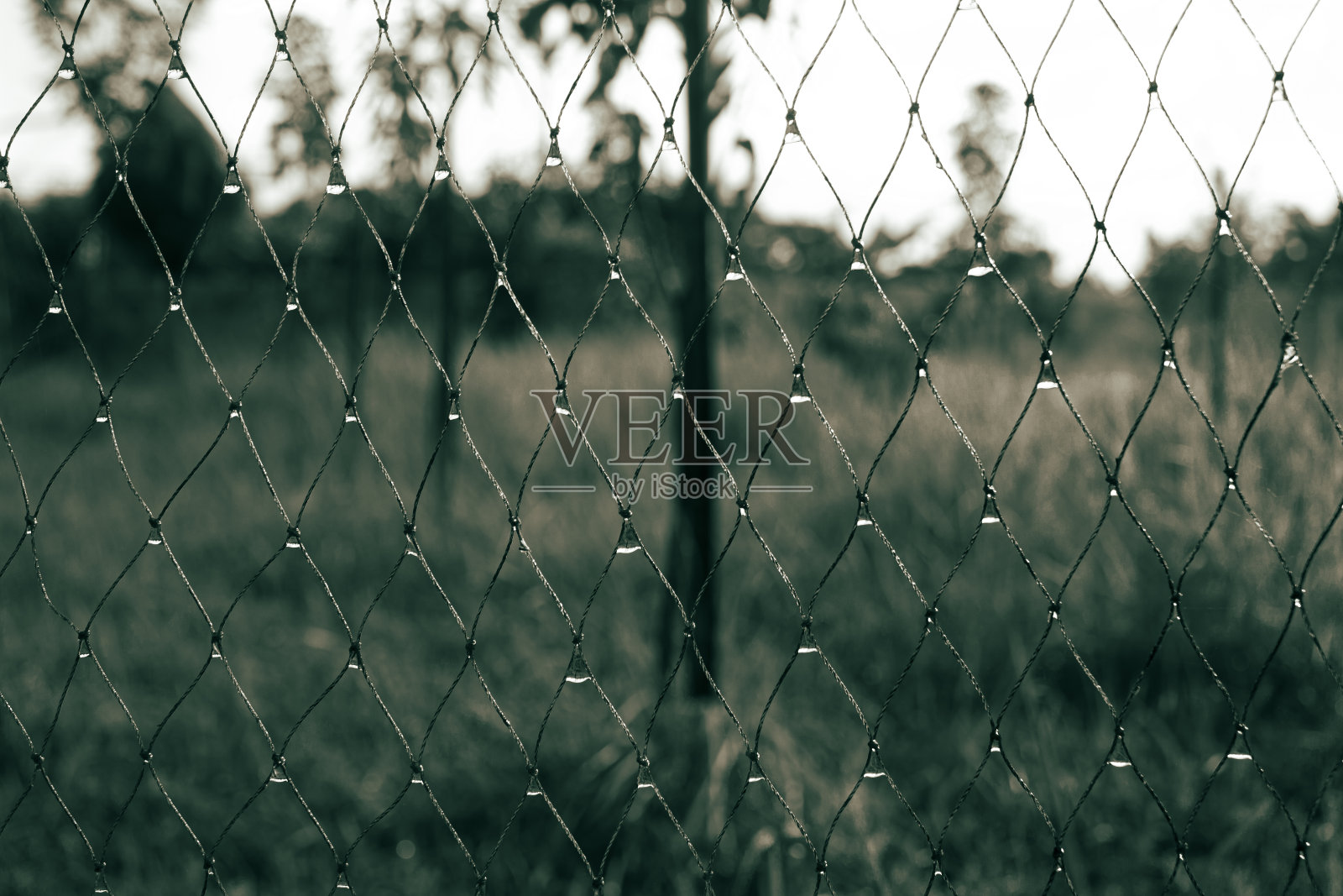 露在行。照片摄影图片