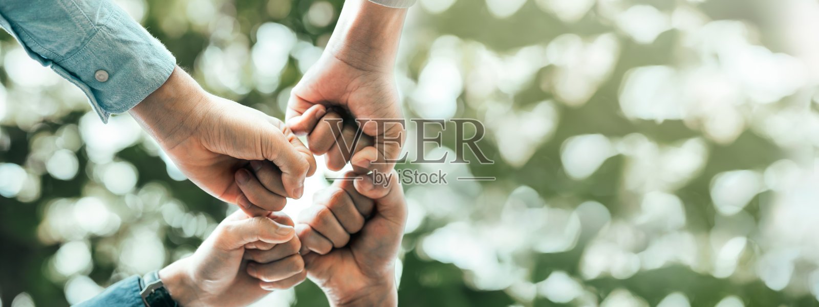 世界环境日和全球社区合作。参与“合作养护”概念的志愿者为了保护森林，人们为了成功而参与。可持续发展目标照片摄影图片