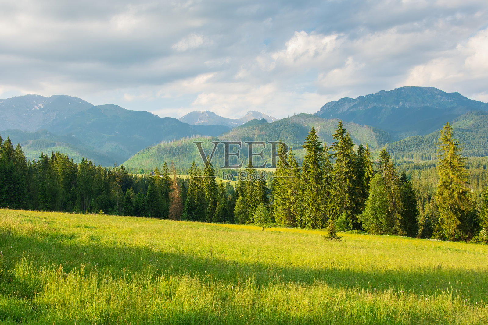 从Pazówka的空地看西方鞑靼人照片摄影图片