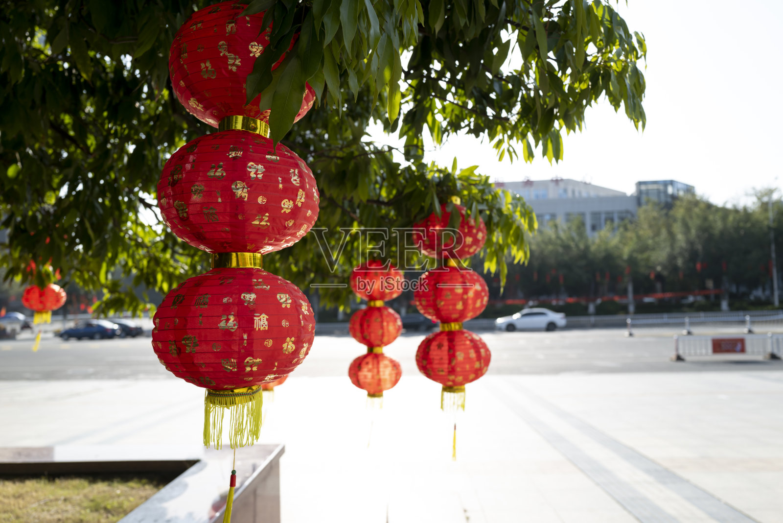 春节期间悬挂的灯笼照片摄影图片