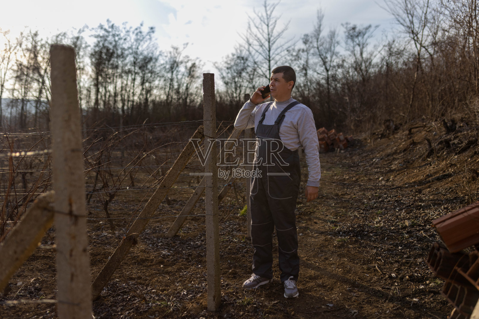 在葡萄园打电话的男人。照片摄影图片