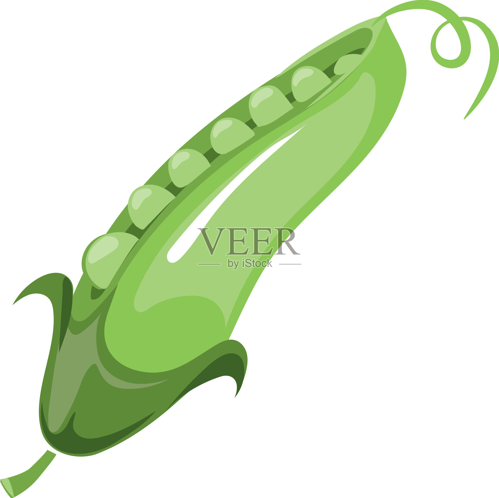 绿色豌豆荚象征新鲜的天然生豆设计元素图片
