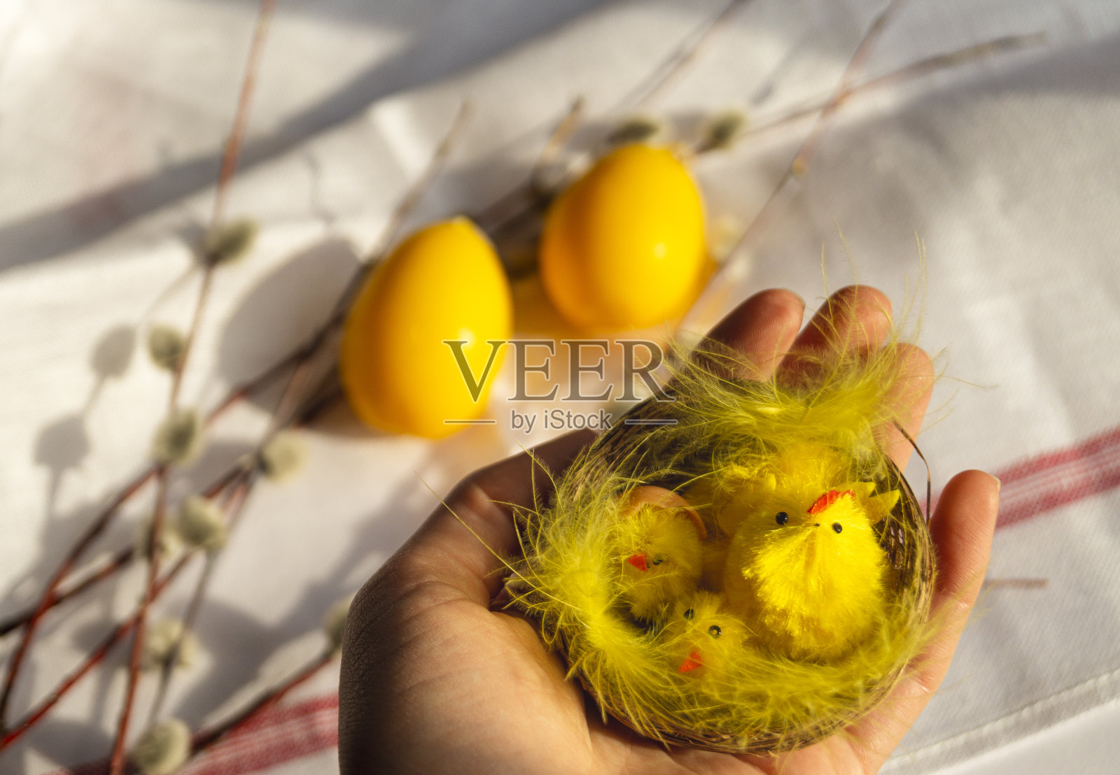 在复活节彩蛋的背景下，手握黄色的鸡窝照片摄影图片