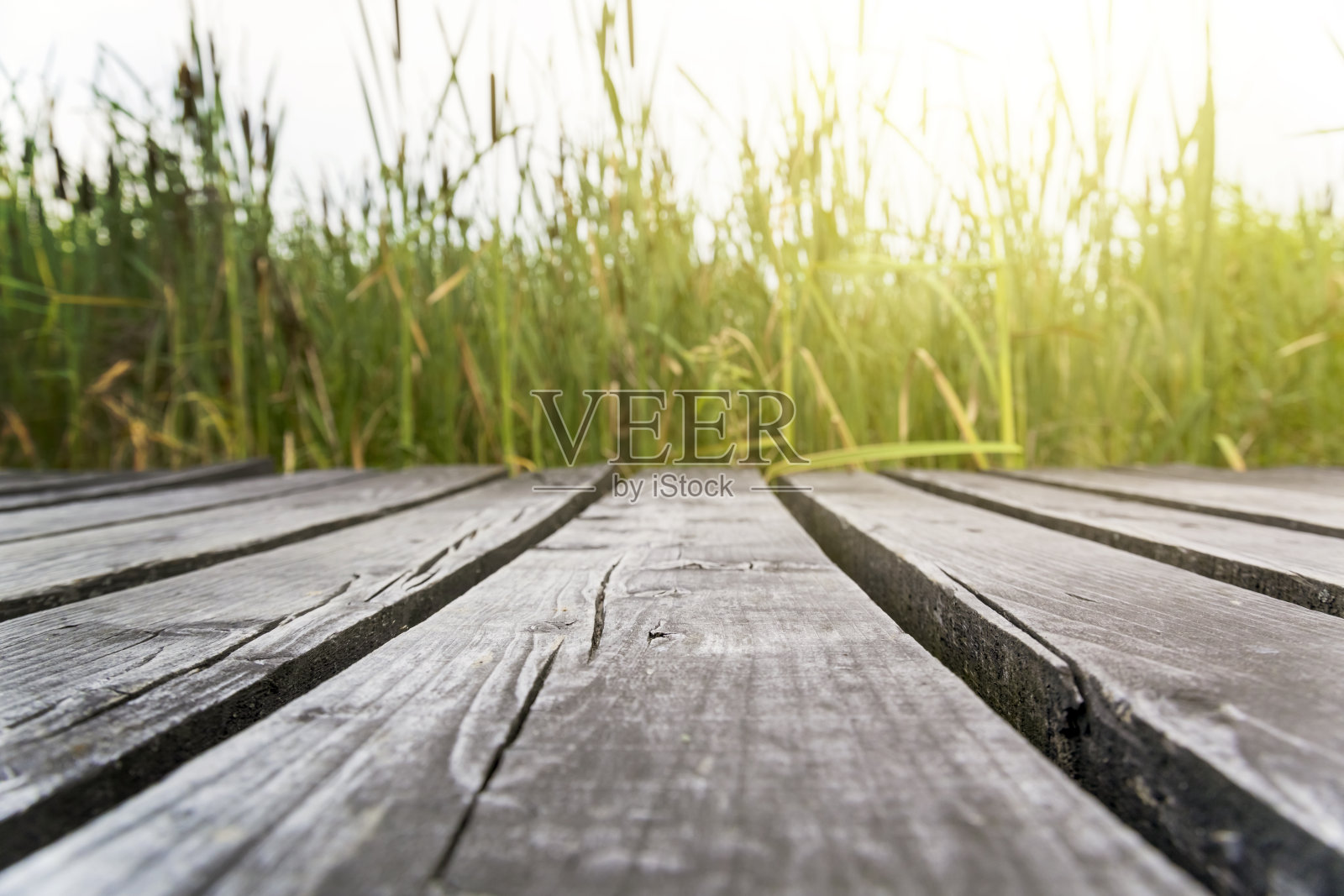 湖上的木码头照片摄影图片