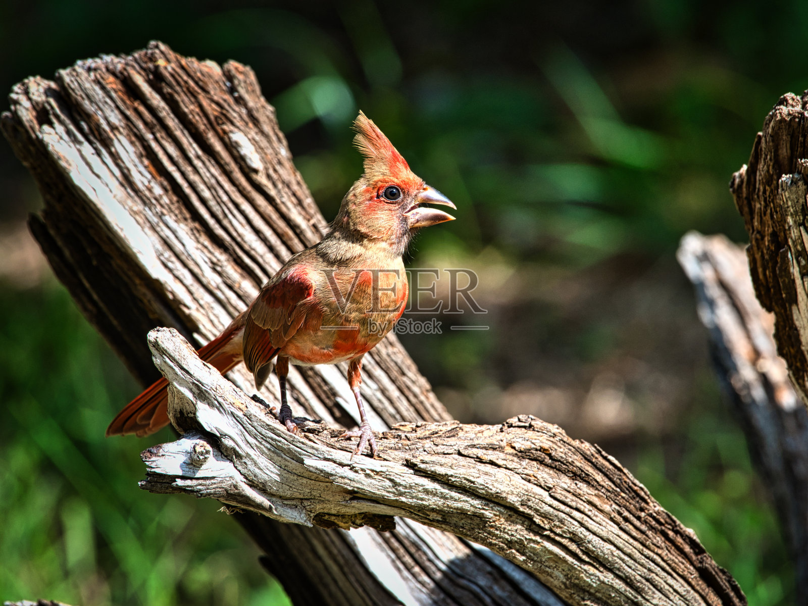 显示颜色照片摄影图片