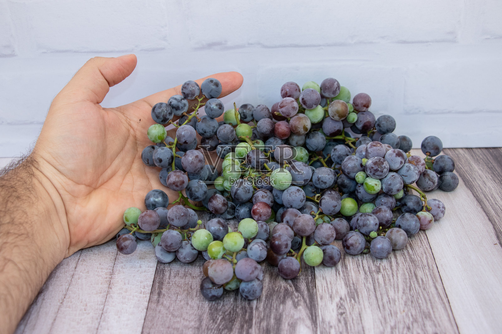 人的手展示着葡萄的收获照片摄影图片