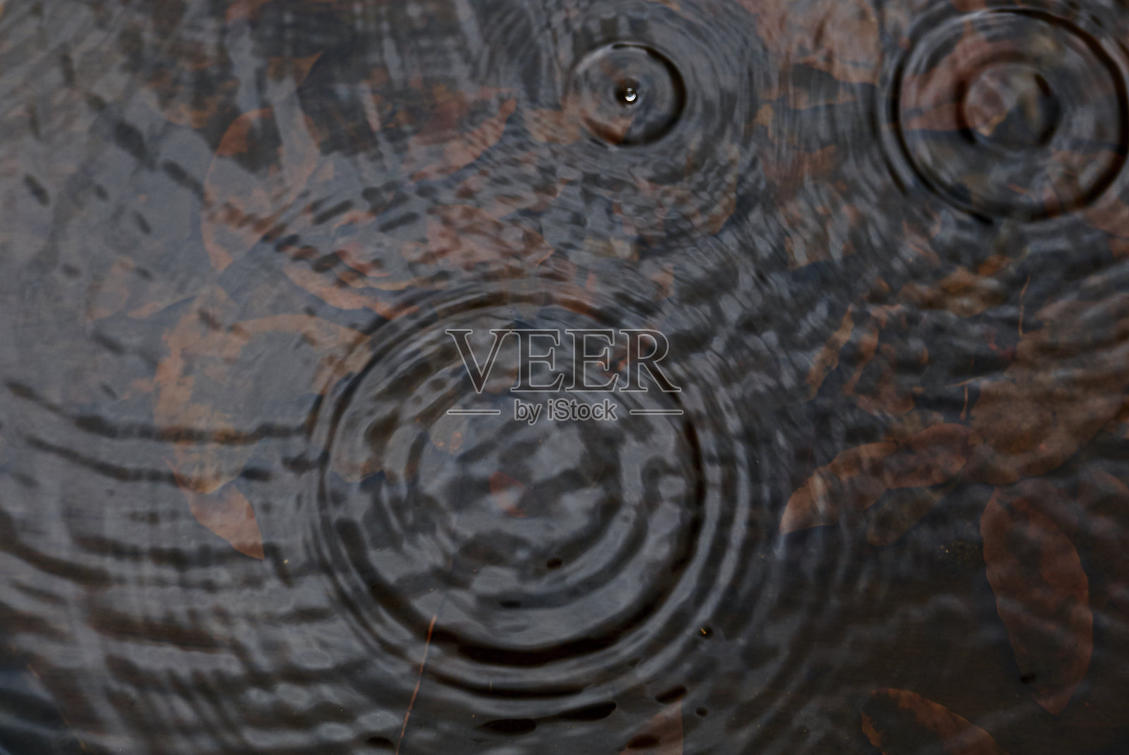 水滴在水面上的圆形波浪照片摄影图片