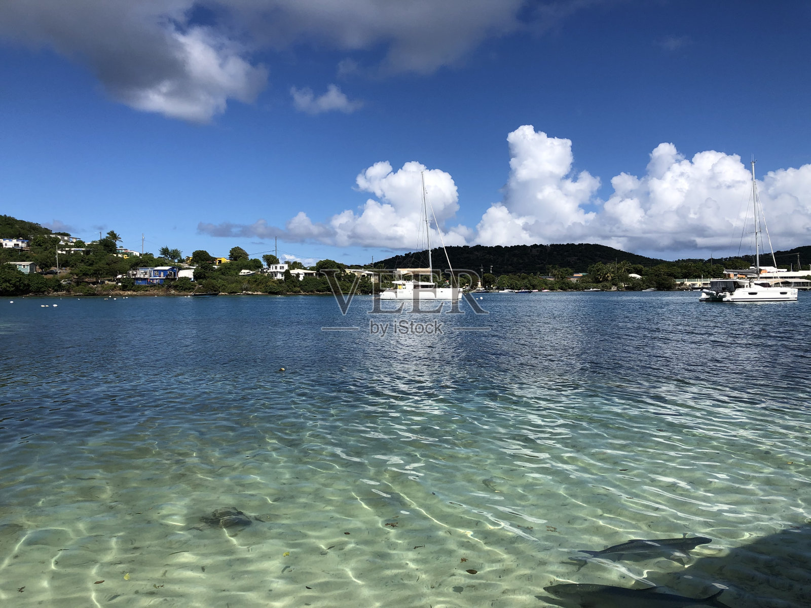 加勒比海-圣托马斯，美属维尔京群岛照片摄影图片