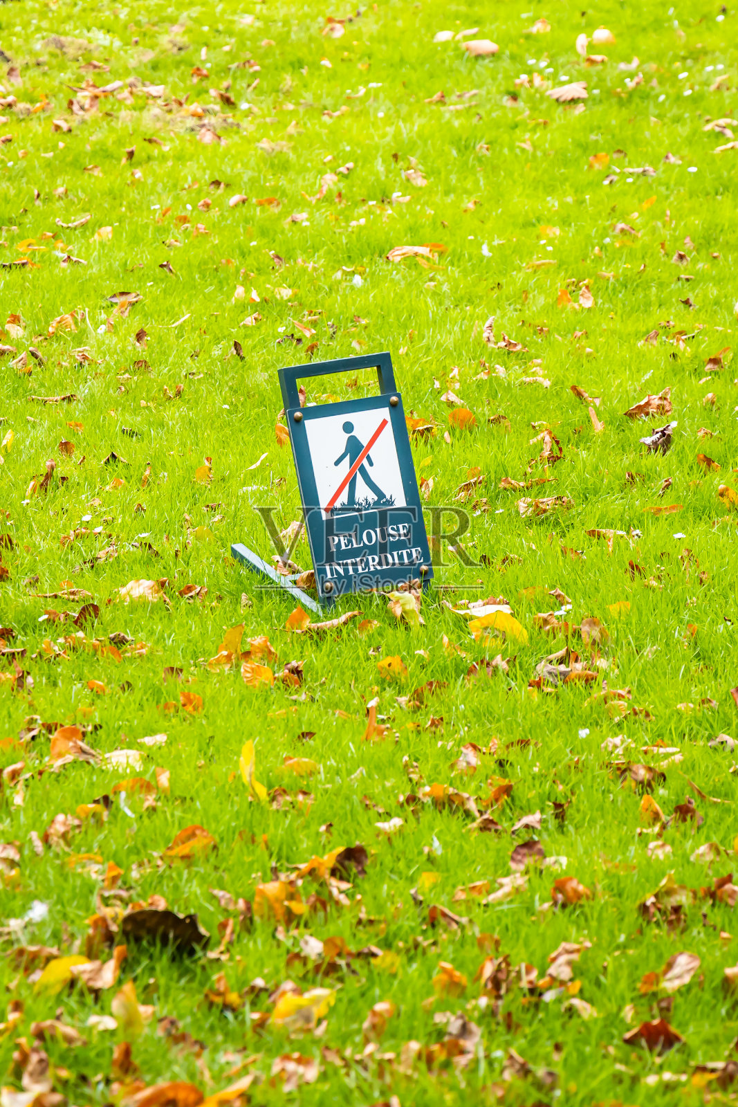 巴黎卢森堡花园的“禁止草坪”法语标志照片摄影图片