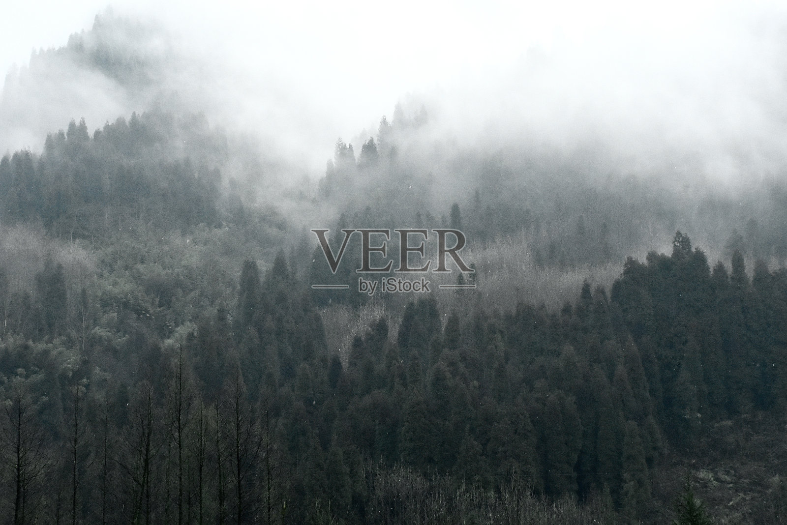 重庆照片摄影图片