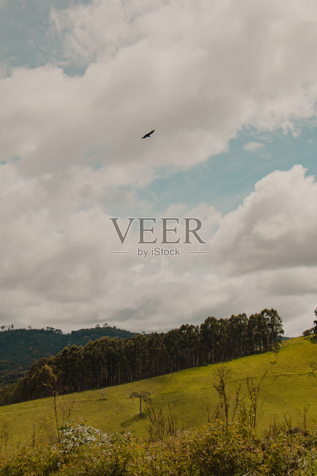 宁静的大自然照片摄影图片